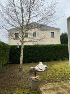 Photo de galerie - Taillage de haie 