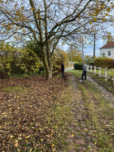 Photo de galerie - Après 