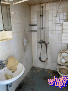 Photo de galerie - Ménage