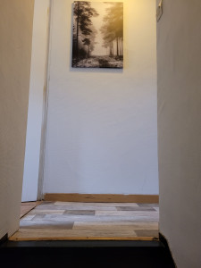 Photo de galerie - Pose de balatum