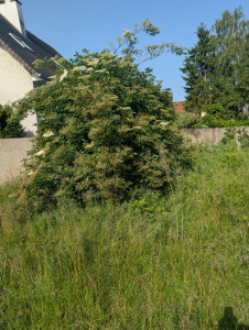 Photo de galerie - Avant 