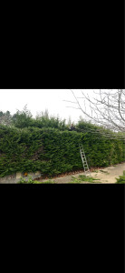 Photo de galerie - Travaux en cours