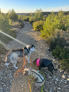 Photo de galerie - Sortie en garrigue