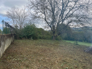 Photo de galerie - Nettoyage de terrain ronciers  N.V.I 