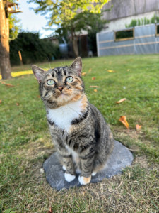 Photo de galerie - Grizette