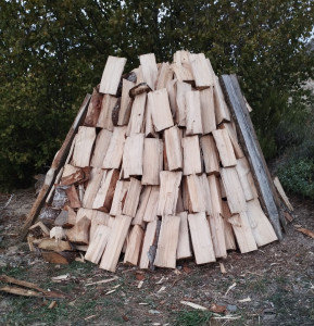 Photo de galerie - Elagage et coupe d'arbres