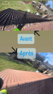 Photo de galerie - Nettoyage anti mousse