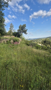 Photo de galerie - Tonte de pelouse - Débroussaillage