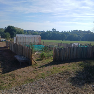 Photo de galerie - Mon potager...