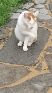 Photo de galerie - Visite de Socrate chez ses maîtres 