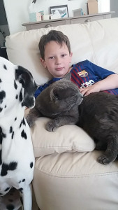 Photo de galerie - Voici un des enfants que j'ai déjà gardé 