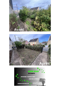 Photo de galerie - Remise en états d un terrain envahies par la végétation 