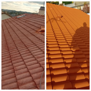 Photo de galerie - Peintures toiture 