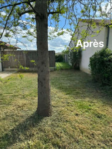 Photo de galerie - Débroussaillage 