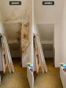 Photo de galerie - Peinture intérieure et extérieure Rénovation et petits travaux de bâtiment Bricolage et répar