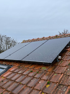 Photo de galerie - Nettoyage + traitement dalep 