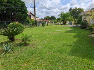 Photo de galerie - Tonte + bordure avec ramassage 