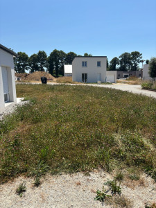 Photo de galerie - Avant (herbe haute)