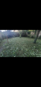 Photo de galerie - Tonte de pelouse - Débroussaillage