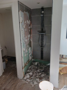 Photo de galerie - Salle d'eau. 