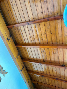 Photo de galerie - Remise en lasure