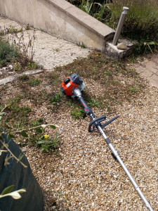 Photo de galerie - Débroussaillage, élagage sur des arbres de petite taille, taille de haie.
