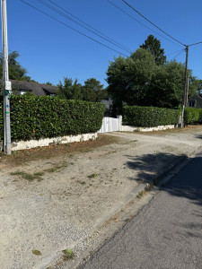 Photo de galerie - Taille de haies et d'arbustes