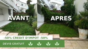 Photo de galerie - Tonte de pelouse et Entretien régulier