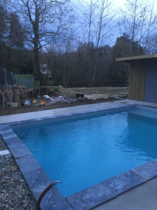 Photo de galerie - Réalisation d’une piscine 6*4m avec son local en ossature bois et réalisation de béton désactivé pour les pourtours 