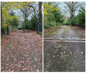 Photo de galerie - Nettoyage avec évacuation, client, satisfait