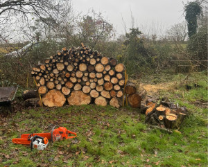 Photo de galerie - Taille d’arbres tombés suite