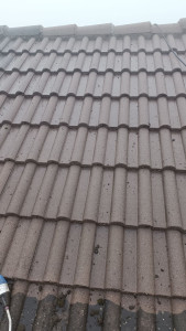 Photo de galerie - Après mettoyage 