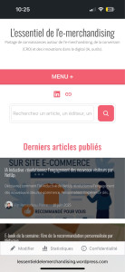 Photo de galerie - Un de mes sites personnel sur l’e-commerce: https://lessentieldelemerchandising.wordpress.com