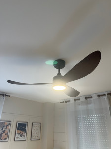 Photo de galerie - Ventilateur de plafond 