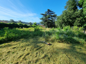 Photo de galerie - Remise en état terrain