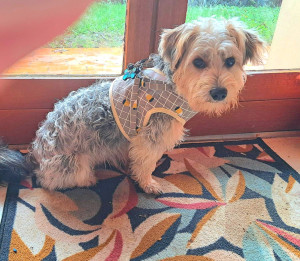 Photo de galerie - Je pose pour la photo !