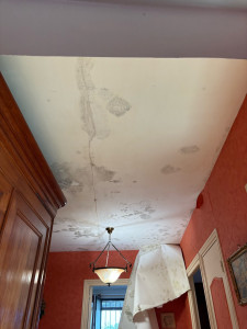 Photo de galerie - Peinture plafond avant 