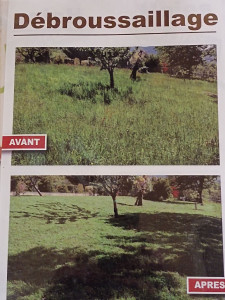 Photo de galerie - Besoin de débroussailler un terrain  vous avez trouvé merci 