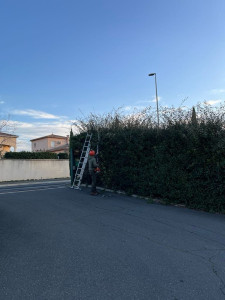 Photo de galerie - Taille de haie maison de retraite, 200m 