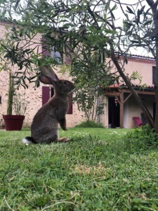 Photo de galerie - Garde Paco 