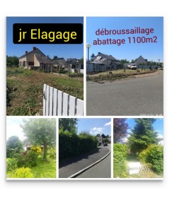 Photo de galerie - Elagage et coupe d'arbres