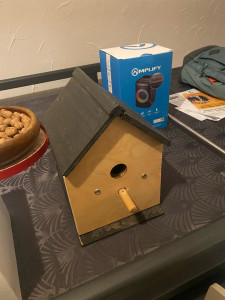 Photo de galerie - Fabrication d un nid oiseau . 