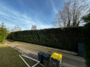 Photo de galerie - Elagage et coupe d'arbres