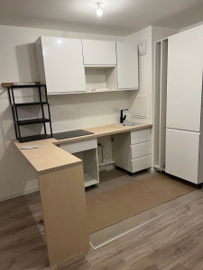 Photo de galerie - Rénovation cuisine et parquet 