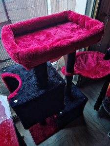 Photo de galerie - Montage et installation d'un arbre a chat. 