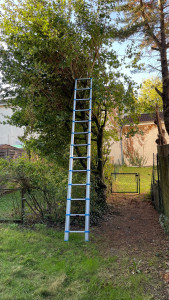 Photo de galerie - Elagage et coupe d'arbres