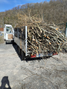Photo de galerie - Évacuation de déchets verts 