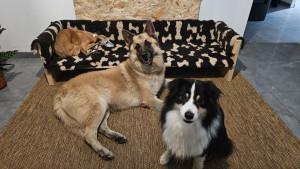 Photo de galerie - De toutes les tailles ! 