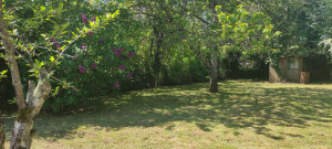 Photo de galerie - Remise en état d'un jardin.