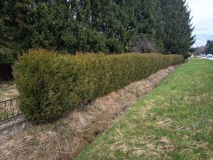 Photo de galerie - Taille 